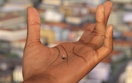 giantess handheld dark_skin in_palm boomgts digital_render