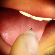 giantess vore tongue teeth lips shrunken_woman open_mouth cruel emma imminent_vore digital_render ashkiiwolf