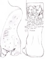 drawing micro furry anthro monochrome barefoot foot_crush unaware sketch dirty_soles my_little_pony pinkie_pie twilight_sparkle dylan