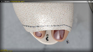 micro toes high_heels shrunken_man between_toes red_nails nail_polish digital_render open_toe butre3004