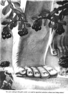 drawing giantess monochrome toes barefoot story shrunken_man hiding outdoors under_foot under_toes