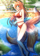 bikini drawing giantess blushing large_breasts long_hair beach smiling fox_ears fox_tail red_hair lying_down batusawa cysh_aizen