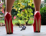 collage high_heels domination scared shrunken_man suit standing msku