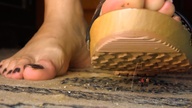 crush collage low_angle shrunken_men sandals open_toe loryelle