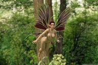 nude wings fairy shrunken_woman forest flying pointed_ears digital_render madamemaeve