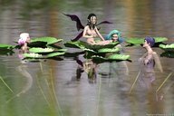 nude wings fairy mermaid lake shrunken_women pointed_ears digital_render madamemaeve