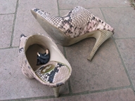 collage high_heels in_shoe shrunken_man suit looking_up msku