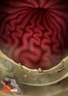 drawing giantess vore color blood digestion gore stomach bones point_of_view stomach_acid spokle carcass