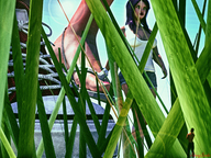 black_hair long_hair clothed cleavage green_eyes shoes sandals shorts walking unaware shrunken_man grass close_up women top digital_render johnnyscribe