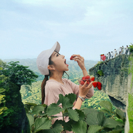 giantess collage brunette asian ponytail mountains forest onlookers strawberries kyojingirls