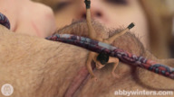 collage nude pussy panties butt pubic_hair domination shrunken_man close_up entrapment sfxhh3