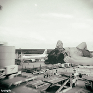 giantess collage monochrome black_hair clothed cleavage asian lying_down shorts sunglasses airport top kyojingirls