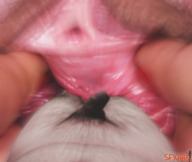collage insertion pussy penis shrunken_man fingers point_of_view up_close motion urethra sfxhh3