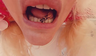 collage vore loryelle