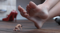 feet toes barefoot soles kneeling shrunken_man indoors digital_render caddyisraddy discarded_footwear becks