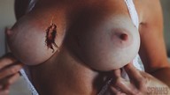 crush collage large_breasts blood breast_crush shrunken_man between_breasts sfxhh3