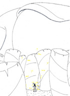 drawing micro nude monochrome black_hair long_hair toes surprised shrunken_woman carpet