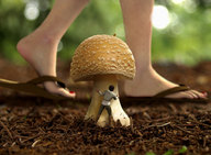 collage feet sandals mushroom walking shrunken_man forest hiding flip_flops digital_render