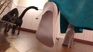 giantess clothed high_heels multiple_sizes dress indoors digital_render dinosaurs velocity-vektor
