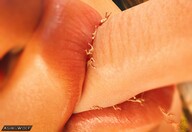 giantess micro vore mega shrunken_men entrapment sucking point_of_view digital_render ashkiiwolf andreia