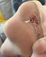 collage toes tiny foot_worship nylons shrunken_man entrapment msku