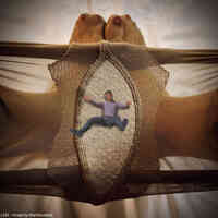 collage panties toes nylons shrunken_man crotch red_nails marklovefeet