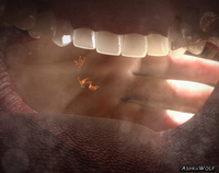 giantess vore mega teeth lips shrunken_men inside_mouth point_of_view digital_render opal falling_into_mouth ashkiiwolf hand_palm