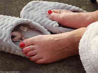 barefoot insole crawling shrunken_man carpet indoors red_nails toe_rings slippers veins msku in_slipper