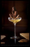 breasts nipples collage nude long_hair cleavage brunette sitting glass shrunken_woman martini dialogue reddrop7 martini_glass