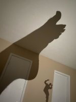 giantess collage toes barefoot unknown_artist shadow shrunken_person indoors source_needed imminent_crush