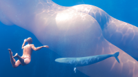 breasts giantess nude color butt water ocean high_angle underwater day shrunken_man swimming back thighs diving rear_view whale digital_render felynarii mega