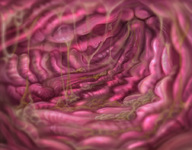 drawing giantess vore color unknown_artist acidic stomach inside_stomach point_of_view