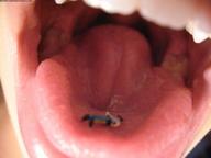 vore tongue mouth teeth shrunken_men giantess_katelyn close_up