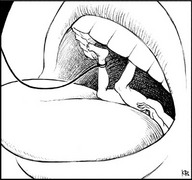 drawing karbo vore monochrome tongue shrunken_men