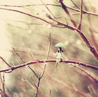 gentle black_hair shrunken_woman artistic nature