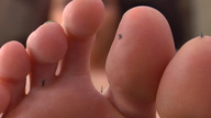 micro feet shrunken_men