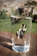 collage black_hair barefoot skirt water legs glass shrunken_woman diving