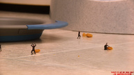 crush feet ants barefoot soles brunette shrunken_men giantess_katelyn entrapment movie guts ant_men katelyn_vs_ant_men_under_soles