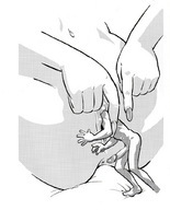 drawing pussy monochrome penis sex anime shrunken_men hand