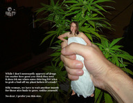 collage handheld story hand shrunken_woman captured swattr