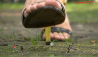 crush collage feet high_heels shrunken_men sandals foot_crush running shrunken_man