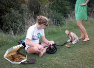 collage feet park shrunken_men collar shrunken_man humiliation leash flip_flops riding_crop pizza