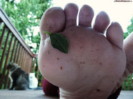 DirtyDeckSoles_11.jpg