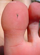 giantess collage feet climbing shrunken_men