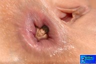anal smiling shrunken_men anal_insertion buttman shaved_pussy