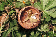 collage brunette shrunken_woman garden